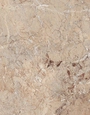 Brecia antic brown керамогранит  полированный 60x60