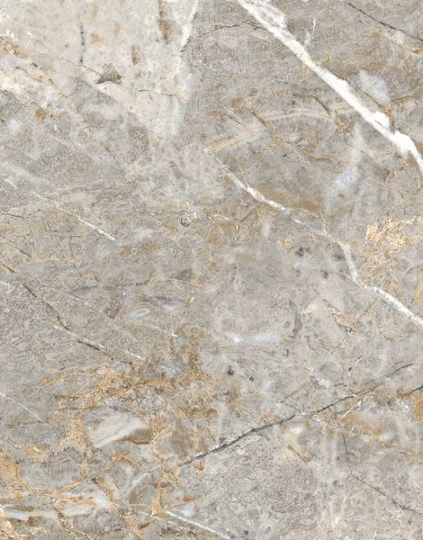 Fantastico grey granito керамогранит  полированный 60x120