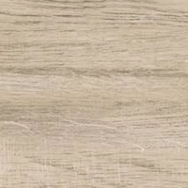 Export Group – Rainwood керамогранит табачный 19,60x119,10