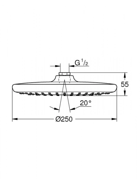 Верхний душ Grohe Tempesta 250 (26662000)